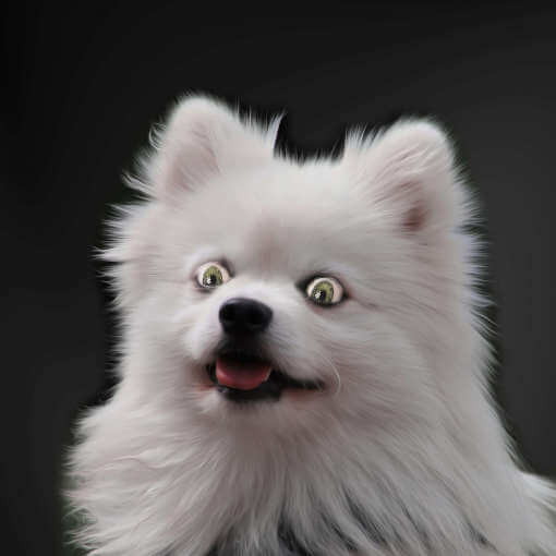 CREATOR: gd-jpeg v1.0 (using IJG JPEG v62), quality = 82
